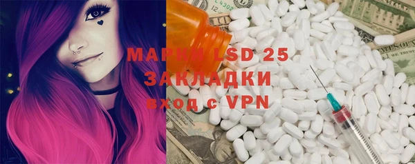 ПСИЛОЦИБИНОВЫЕ ГРИБЫ Пересвет