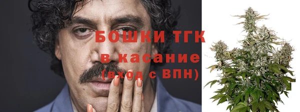 ПСИЛОЦИБИНОВЫЕ ГРИБЫ Пересвет