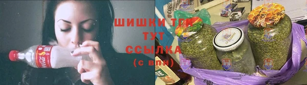 гидра Пестово