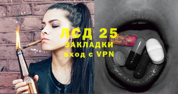 ПСИЛОЦИБИНОВЫЕ ГРИБЫ Пересвет