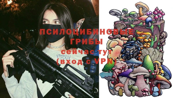 стафф Переславль-Залесский
