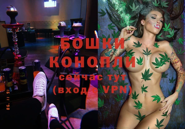 гидра Пестово