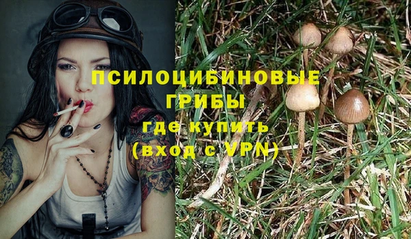 стафф Переславль-Залесский