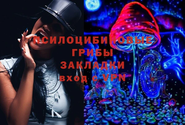 стафф Переславль-Залесский