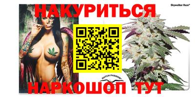 сатива Кинель