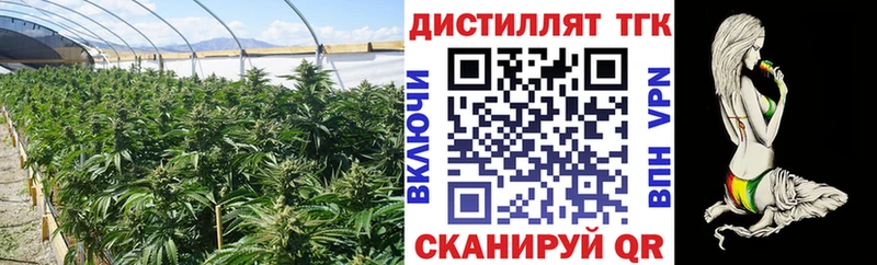 даркнет клад Сертолово Дистиллят ТГК вейп с тгк где можно купить