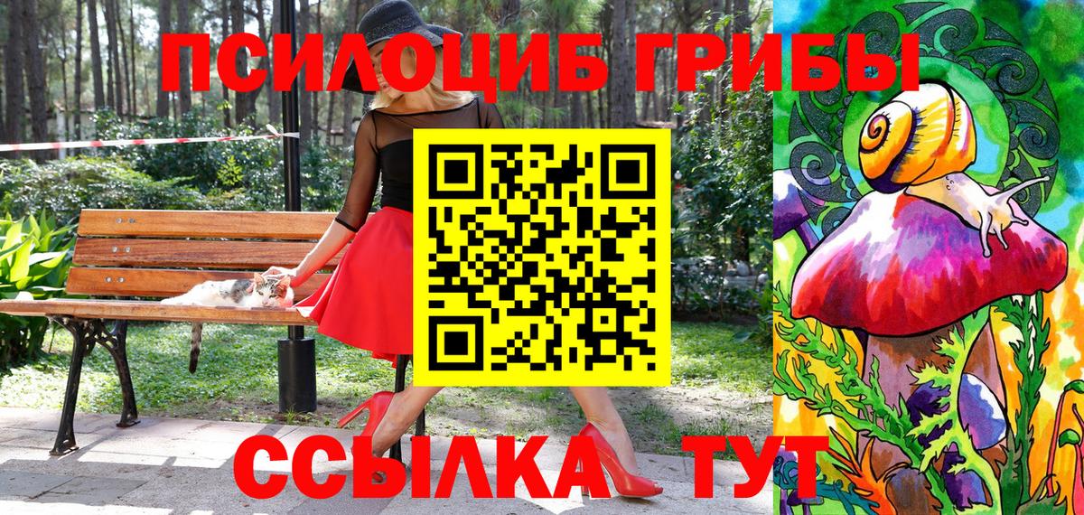 Псилоцибиновые грибы мухоморы  Вход с VPN  Сертолово  Псилоцибиновые грибы MAGIC MUSHROOMS 