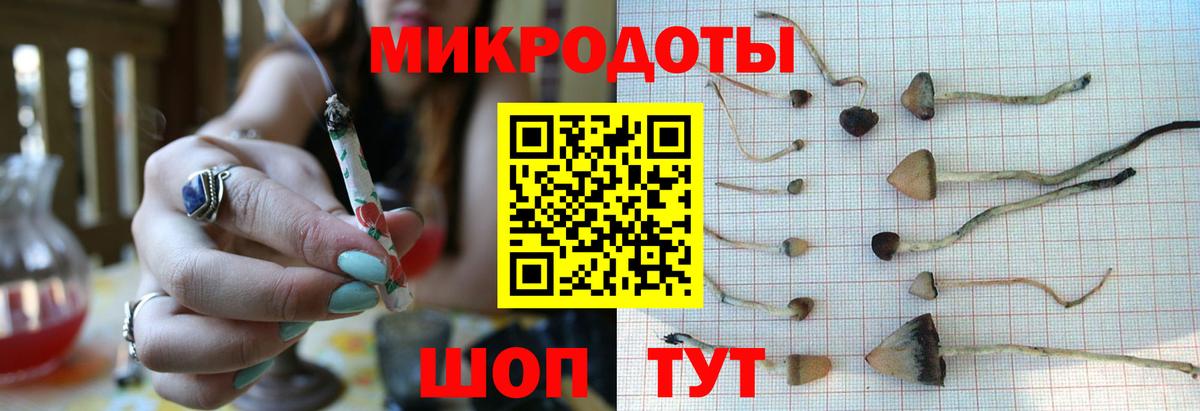 Псилоцибиновые грибы Cubensis Сертолово